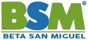 BSM LOGO (1)